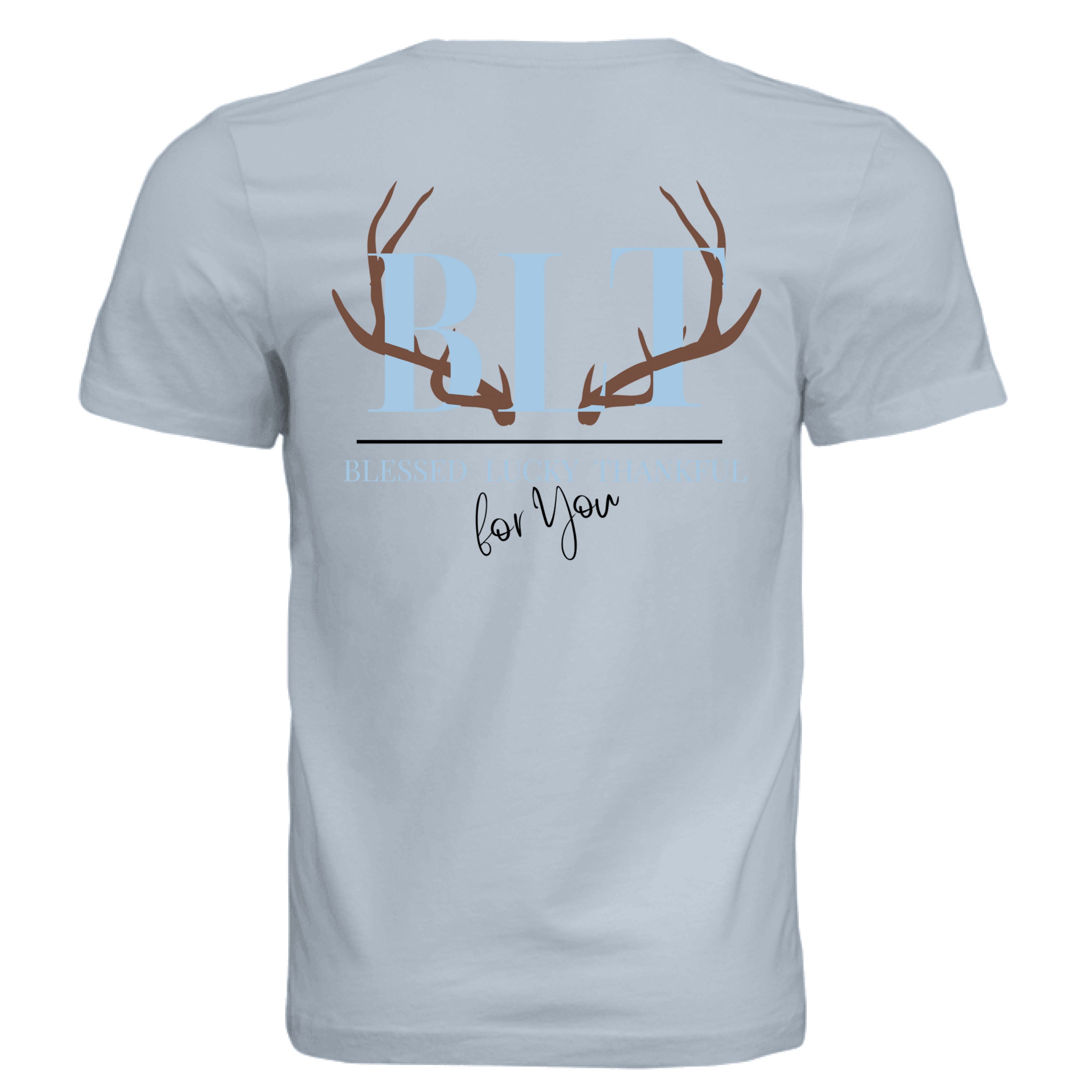 Solid Carolina Blue Triblend - BACK