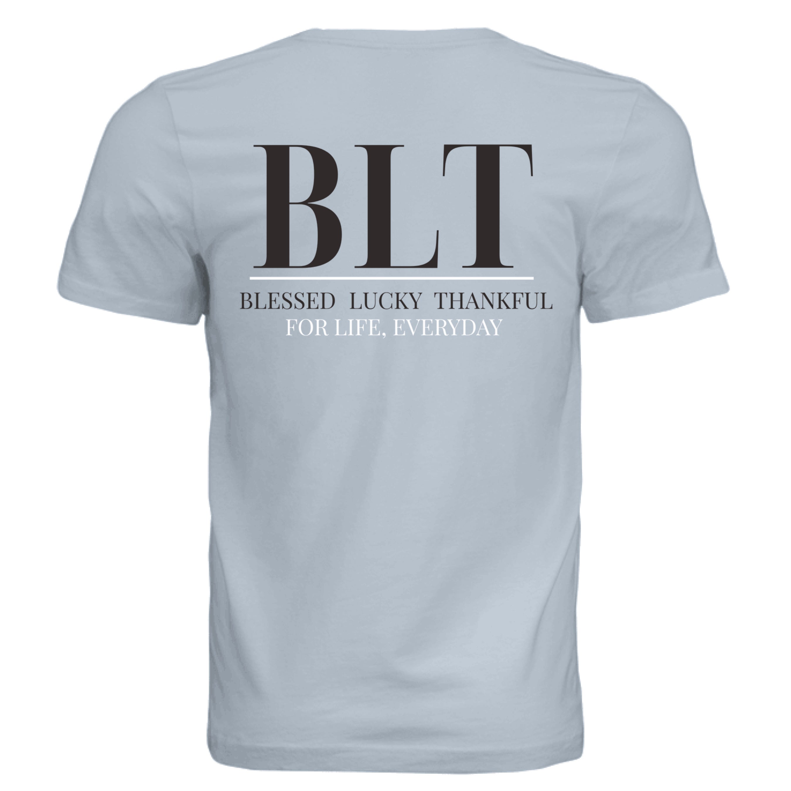 Solid Carolina Blue Triblend - BACK