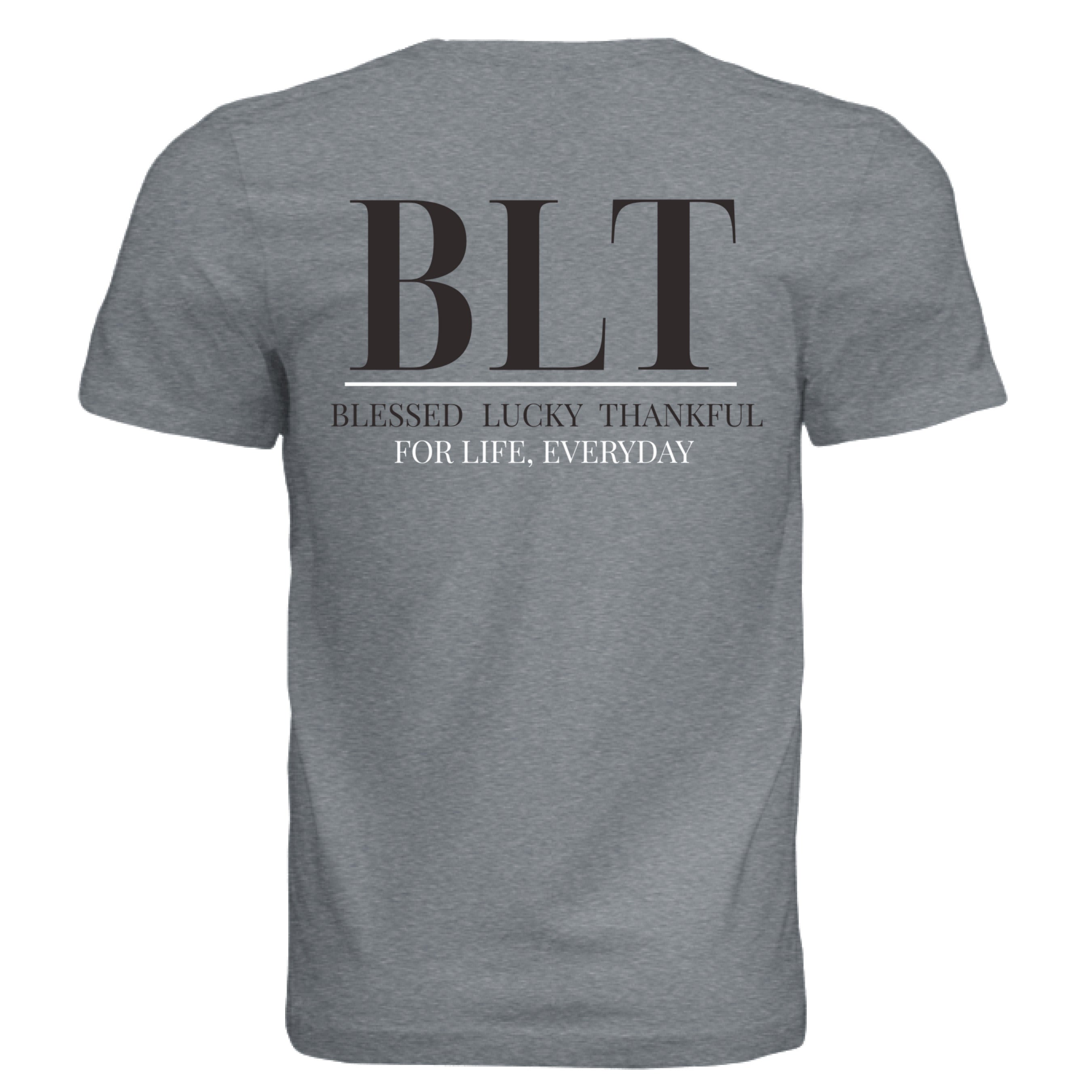 Solid Slate Triblend - BACK