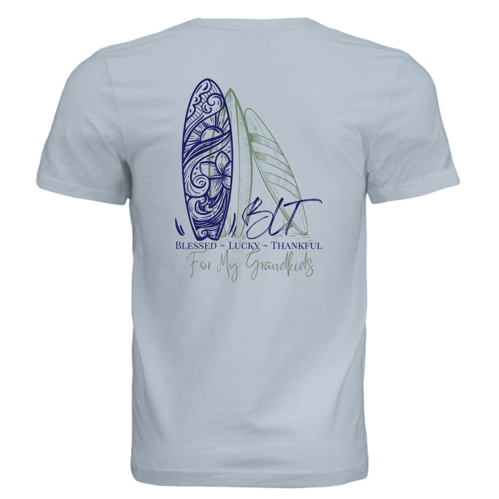 Solid Carolina Blue Triblend - BACK