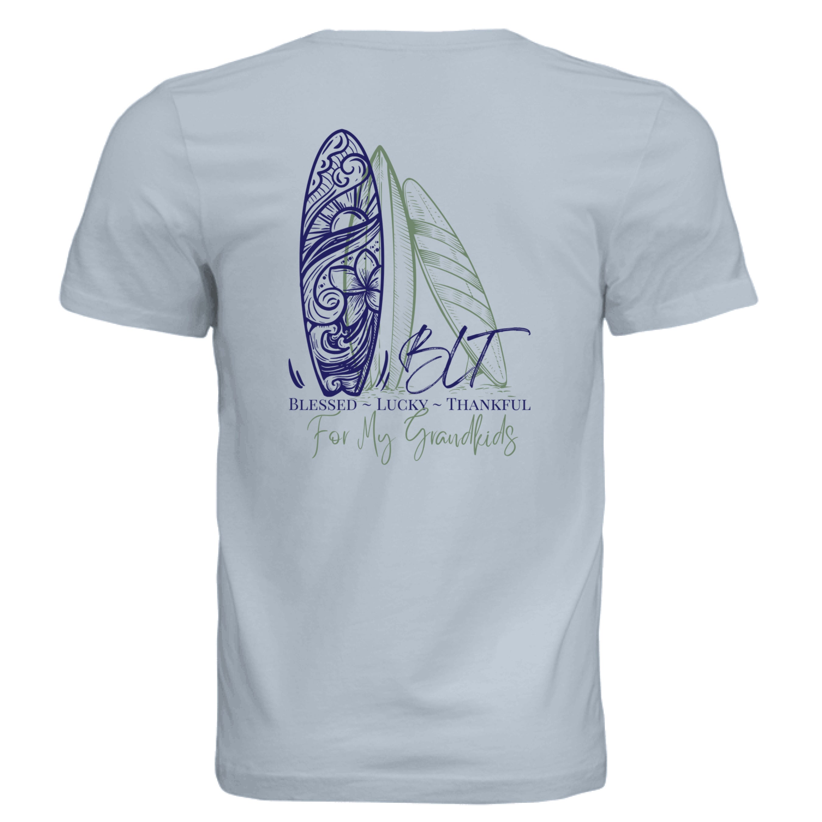 Solid Carolina Blue Triblend - BACK