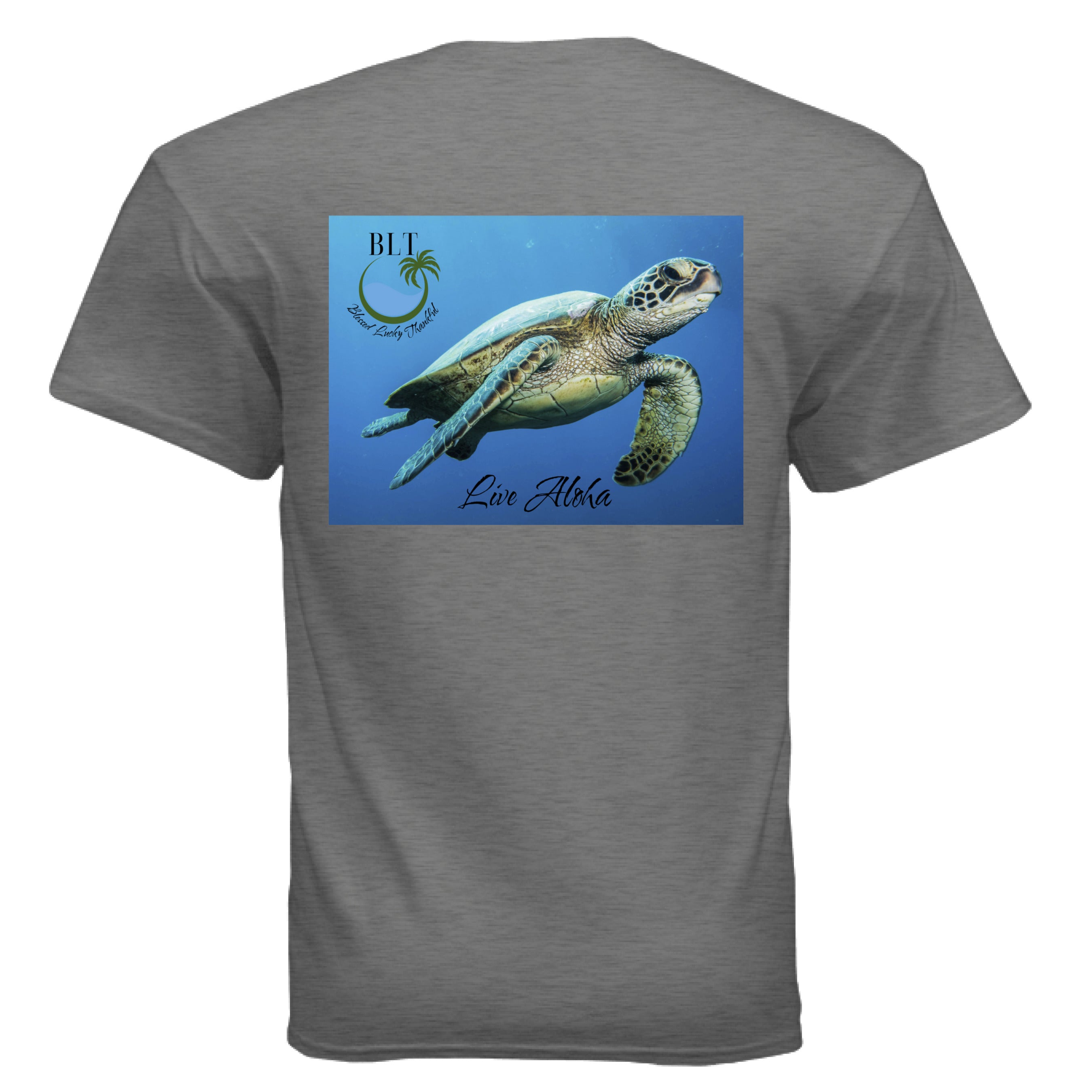 GRAPHITE HEATHER - BACK