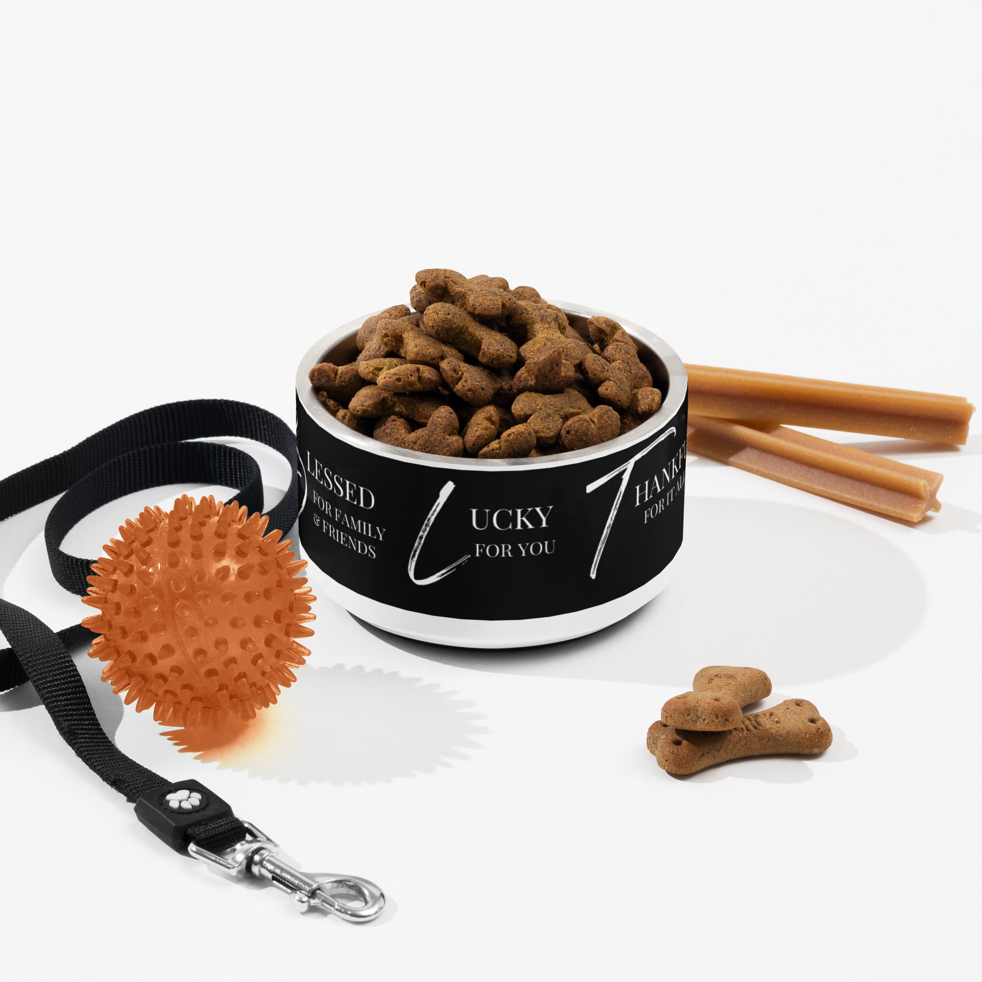 Pet Food & Water Bowl