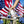 Honor Veterans Heart Stainless Steel Water Bottle